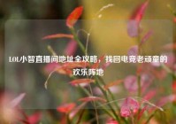 LOL小智直播间地址全攻略，找回电竞老顽童的欢乐阵地