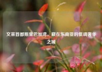 文莱首都斯里巴加湾，藏在东南亚的低调奢华之城