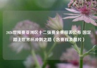 2026世预赛亚洲区十二强赛全赛程表公布 国足踏上世界杯冲刺之路（含赛程表图片）