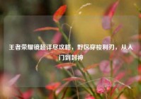 王者荣耀镜超详尽攻略，野区穿梭利刃，从入门到封神