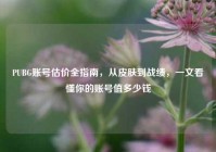 PUBG账号估价全指南，从皮肤到战绩，一文看懂你的账号值多少钱