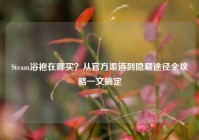 Steam浴袍在哪买？从官方渠道到隐藏途径全攻略一文搞定