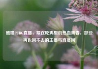 熊猫PUBG直播，藏在吃鸡里的热血青春，那些再也回不去的主播与直播间