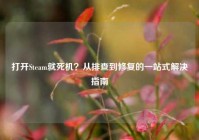 打开Steam就死机？从排查到修复的一站式解决指南