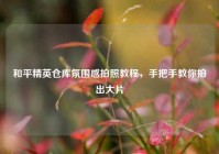 和平精英仓库氛围感拍照教程，手把手教你拍出大片