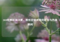 2018世界杯淘汰赛，那些定格传奇的比分与热血瞬间