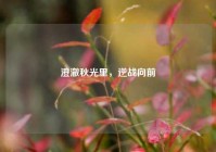 澄澈秋光里，逆战向前