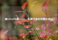 冀CF0138与冀C1413S，车牌号背后的暖心微光