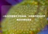 CF队友伤害模式开启指南，从并肩作战到战术博弈的硬核蜕变
