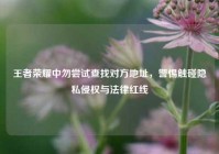 王者荣耀中勿尝试查找对方地址，警惕触碰隐私侵权与法律红线
