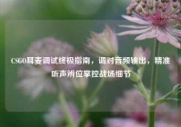 CSGO耳麦调试终极指南，调对音频输出，精准听声辨位掌控战场细节