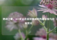 燃动三秦，2021全运会篮球赛场的热血征程与冠军荣光