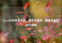Steam打折码全攻略，薅羊毛姿势、靠谱渠道与避坑指南