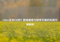 COD16支持FSR吗？解锁画质与帧率平衡的实用方案解析