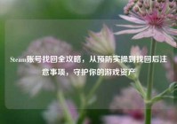 Steam账号找回全攻略，从预防实操到找回后注意事项，守护你的游戏资产