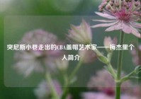 突尼斯小巷走出的CBA盖帽艺术家——梅杰里个人简介
