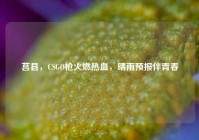莒县，CSGO枪火燃热血，晴雨预报伴青春