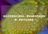 嗨氏小号现身王者峡谷，藏在ID背后的青春回响，获取方法全解析