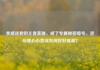 亲戚送我的王者英雄，成了专属秘密暗号，这份暖心心意该如何好好感谢？