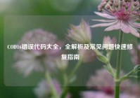 COD16错误代码大全，全解析及常见问题快速修复指南