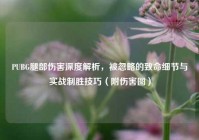 PUBG腿部伤害深度解析，被忽略的致命细节与实战制胜技巧（附伤害图）