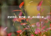 逆战月钩，寒芒藏一诺，月白照江湖