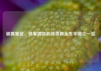 银狐里皮，执掌国足的传奇教头生平简介一览