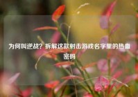 为何叫逆战？拆解这款射击游戏名字里的热血密码