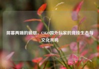 屏幕两端的硝烟，CSGO国外玩家的竞技生态与文化共鸣