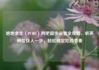 绝地求生（PUBG）网吧脚步设置全攻略，听声辨位快人一步，轻松锁定吃鸡节奏