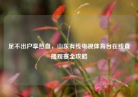 足不出户享热血，山东有线电视体育台在线直播观赛全攻略