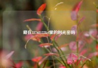 藏在337681228cf里的时光密码