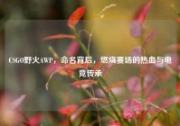 CSGO野火AWP，命名背后，燃烧赛场的热血与电竞传承