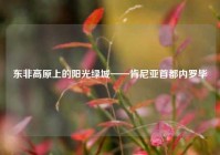 东非高原上的阳光绿城——肯尼亚首都内罗毕