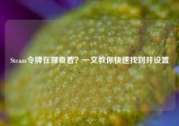 Steam令牌在哪查看？一文教你快速找到并设置