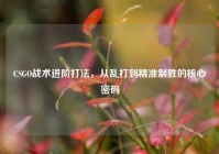 CSGO战术进阶打法，从乱打到精准制胜的核心密码