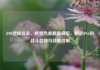 DNF逆转反击，绝境热血翻盘背后，刻进DNA的战斗信仰与技能详解