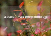 从2020到2026，王者荣耀李白的剑鸣巅峰征程