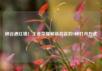 峡谷遇红墙！王者荣耀解锁故宫的N种打开方式