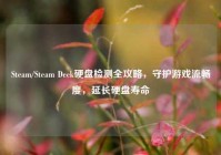 Steam/Steam Deck硬盘检测全攻略，守护游戏流畅度，延长硬盘寿命