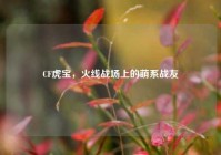 CF虎宝，火线战场上的萌系战友