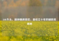 LOL牛头，敲钟嘲讽背后，是屹立十年的辅助常青树