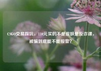 CSGO交易踩坑，110元买的不是皮肤是反诈课，被骗到底能不能报警？