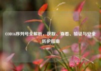 COD16序列号全解析，获取、查看、验证与安全防护指南