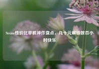 Steam性价比单机神作盘点，几十元解锁数百小时快乐