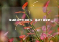 晚风韩信卷枪破峡谷，踏碎王者黄昏