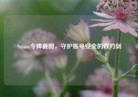 Steam令牌截图，守护账号安全的双刃剑