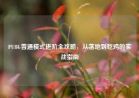 PUBG普通模式进阶全攻略，从落地到吃鸡的实战指南