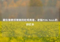 藏在像素纹理里的吃鸡青春，老版PUBG Mobile的回忆杀