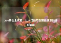 CSGO开金全攻略，从入门技巧到理性娱乐的进阶指南